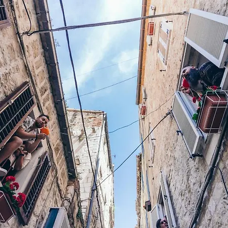 Hostel Fiesta Siesta Social