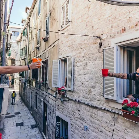 Fiesta Siesta Social Split